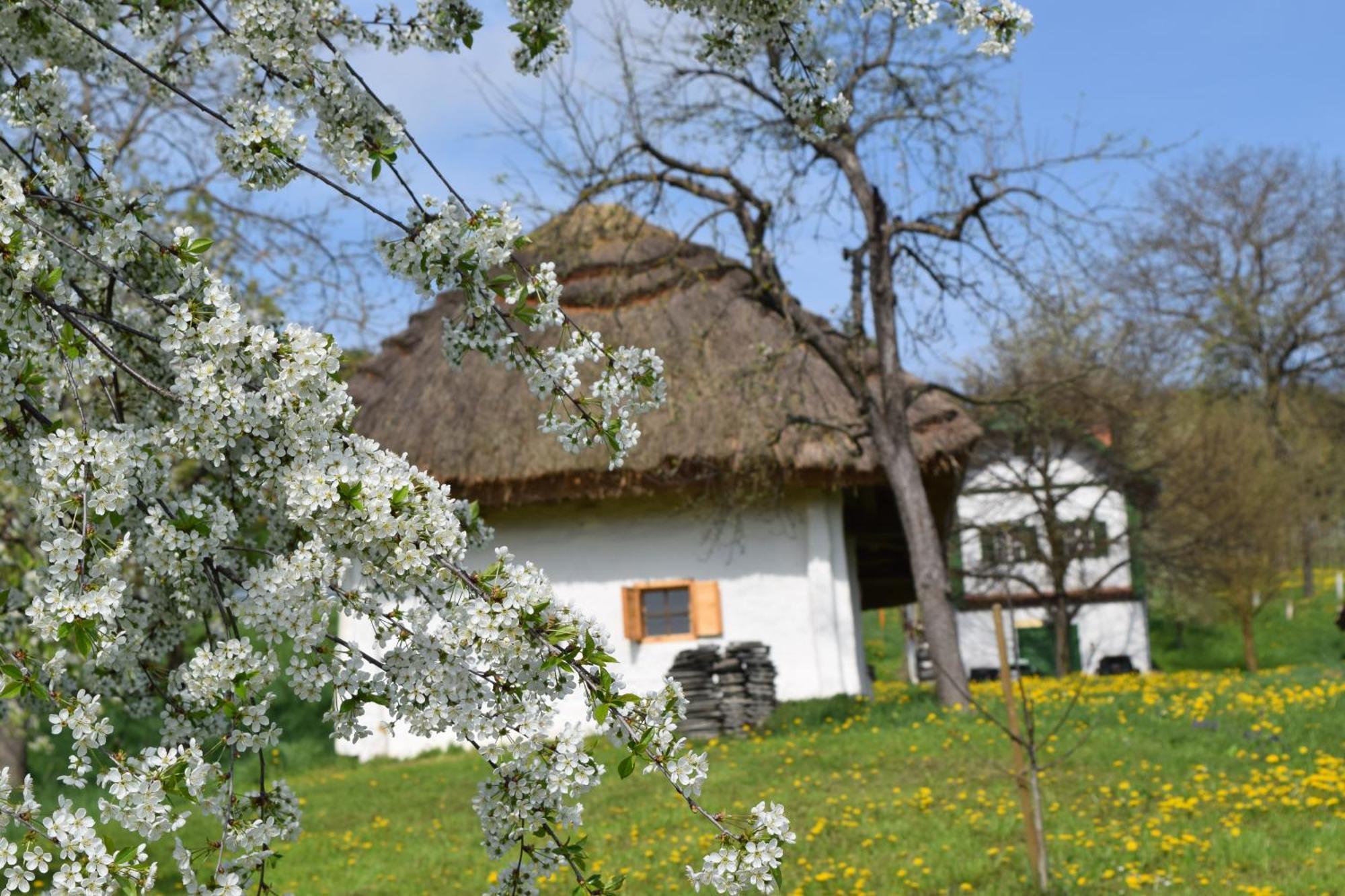 Genussgasthof & Hotel Beim Krutzler Heiligenbrunn Экстерьер фото